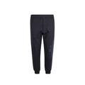 Alexander McQueen Blue Cotton Jogging Trousers (Tracksuit Bottoms)