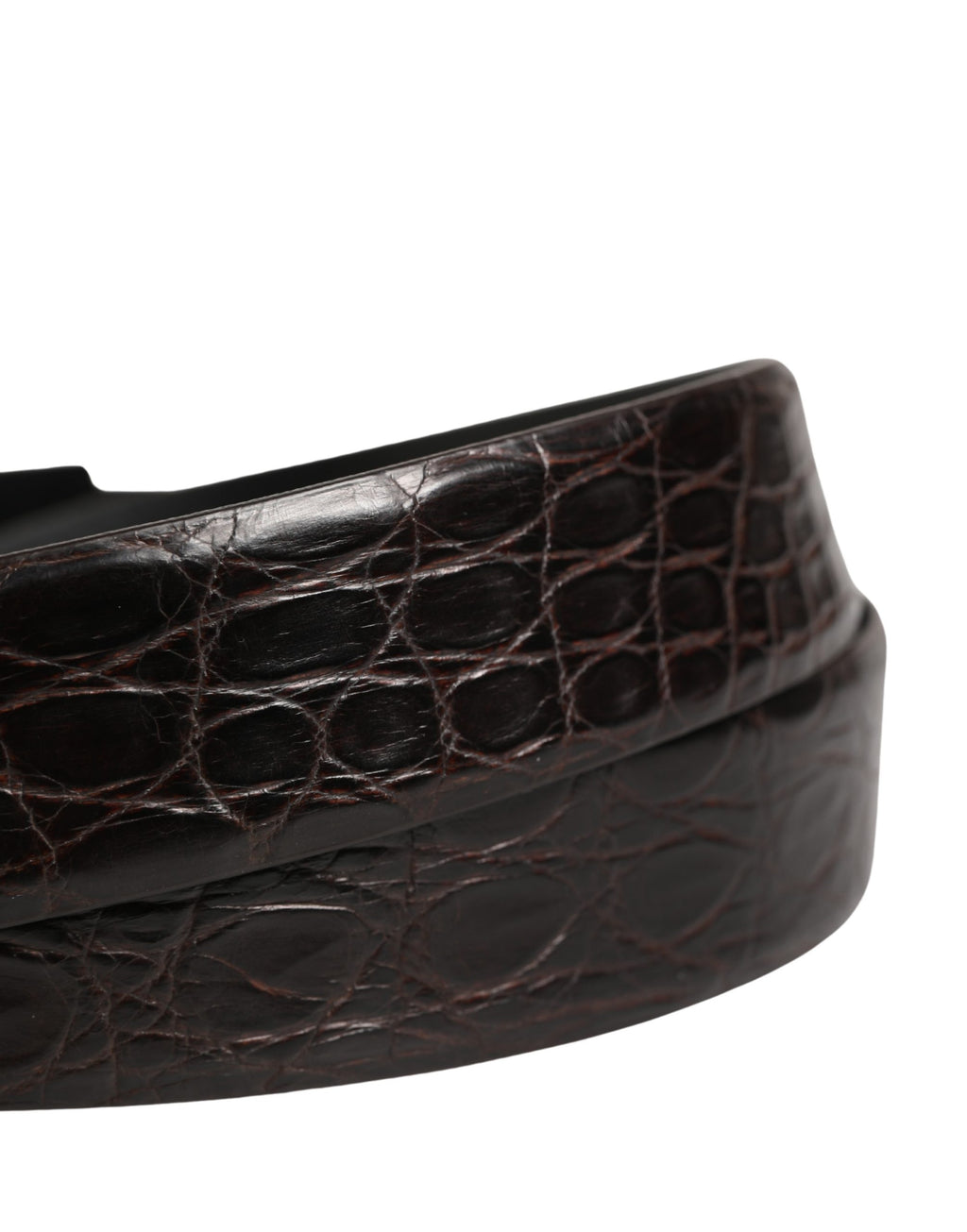 Dolce & Gabbana Herren Gürtel aus exotischem Leder in Schwarz mit Logo-Schnalle