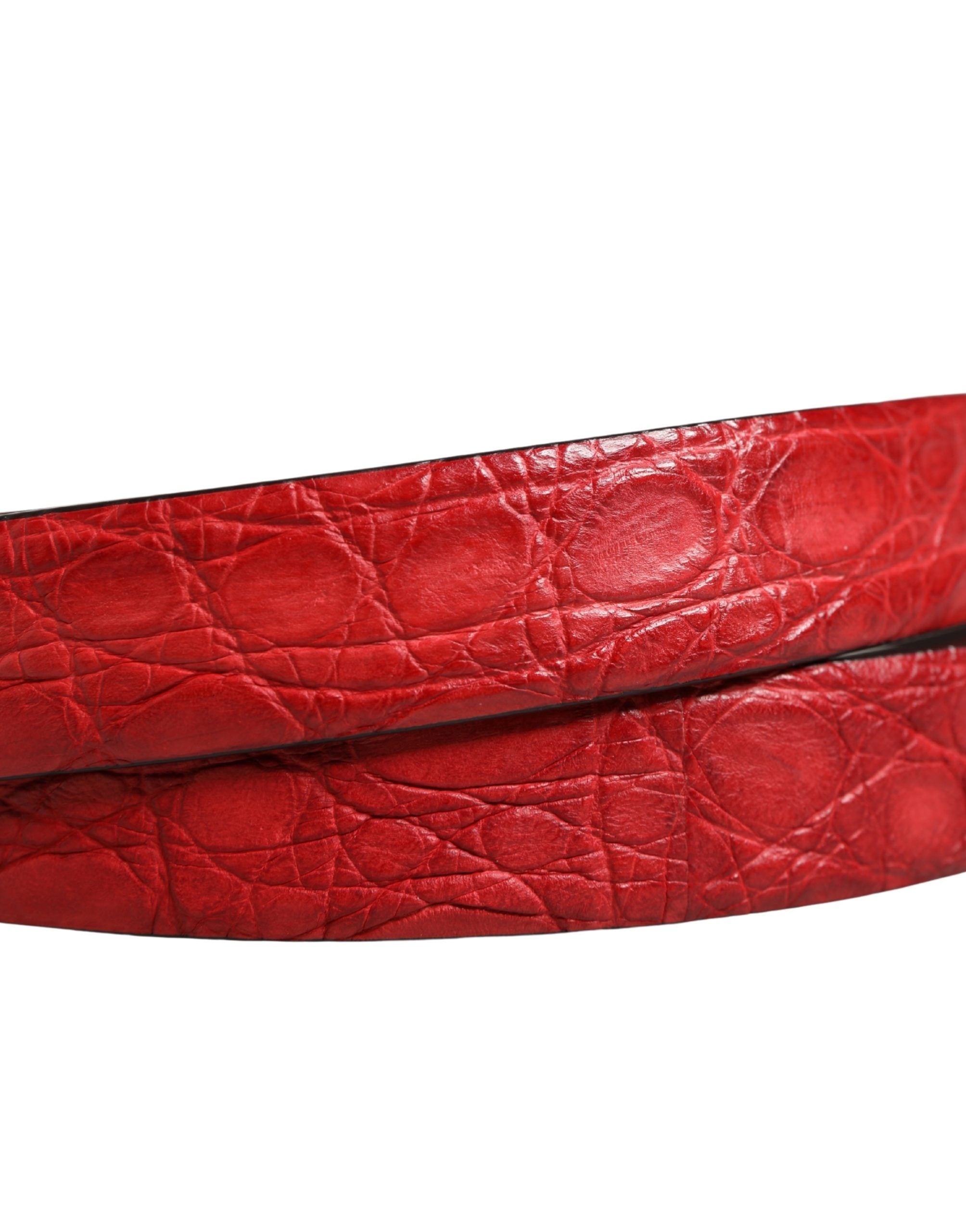 Dolce & Gabbana Men's Belt in Red Exotic Leather with Metal Buckle