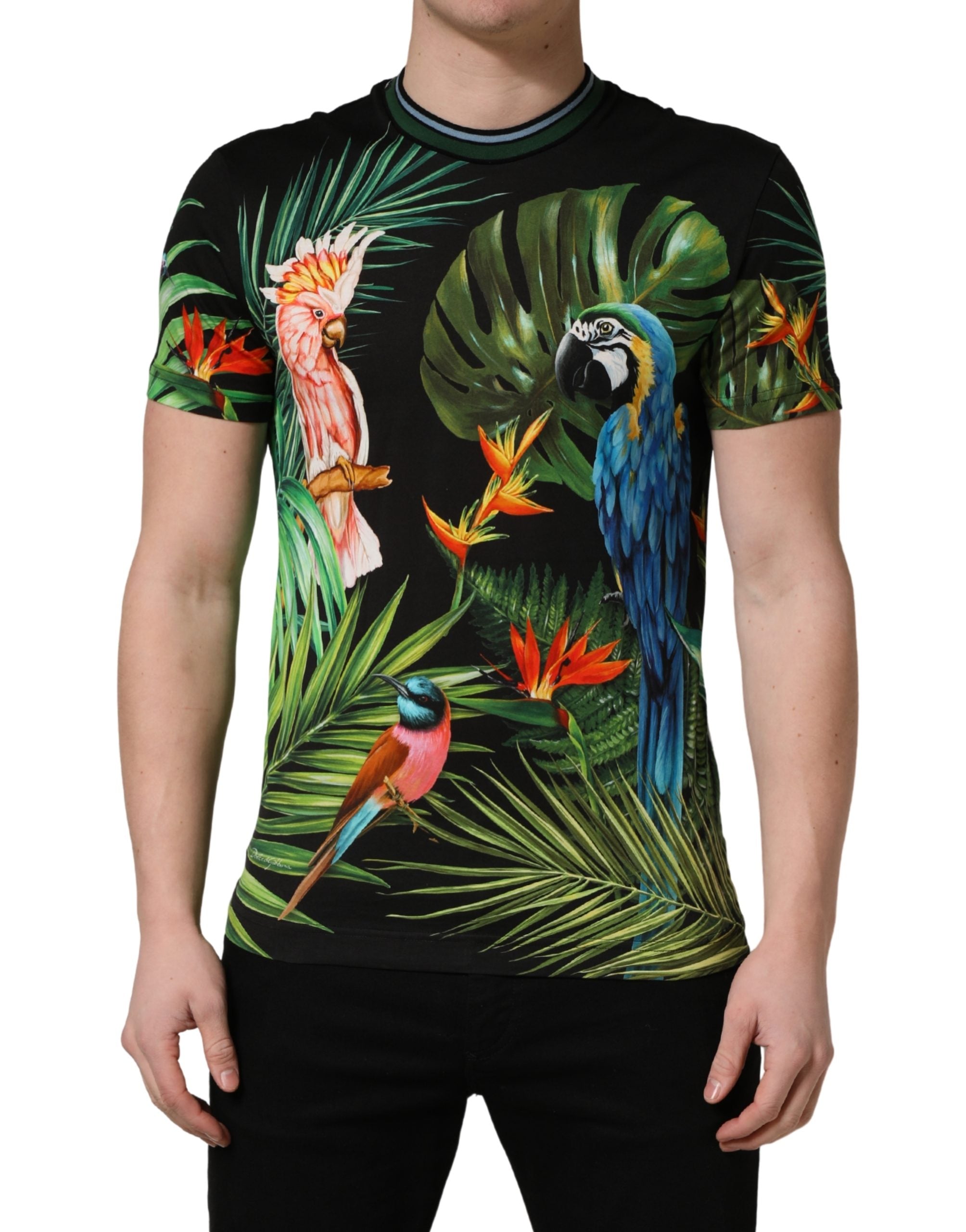 Dolce & Gabbana Schwarzes Herren-T-Shirt mit Vogelprint aus Baumwolle und Rundhalsausschnitt