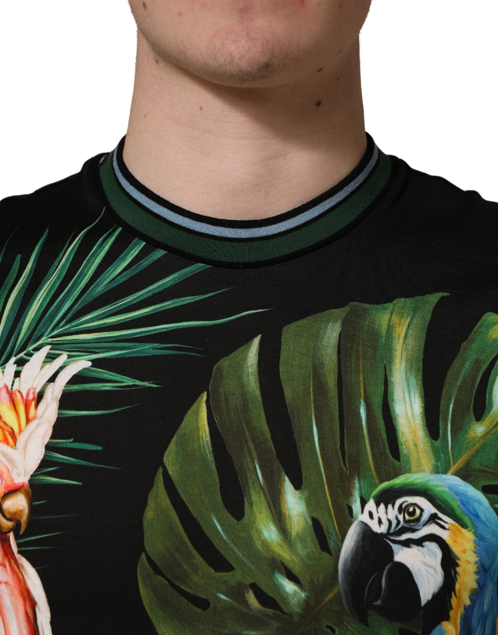 Dolce & Gabbana Schwarzes Herren-T-Shirt mit Vogelprint aus Baumwolle und Rundhalsausschnitt