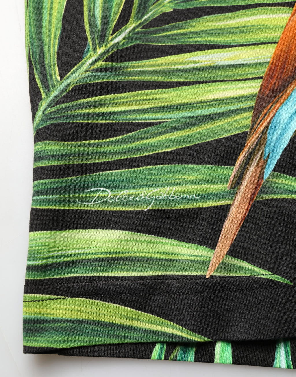Dolce & Gabbana Schwarzes Herren-T-Shirt mit Vogelprint aus Baumwolle und Rundhalsausschnitt