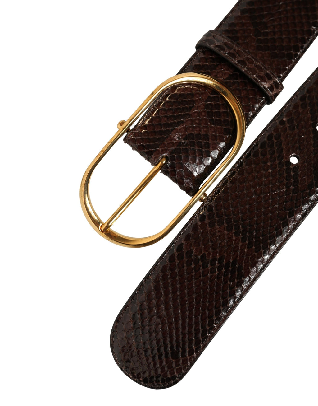 Dolce & Gabbana Brauner Pythonledergürtel mit goldener Metallschnalle