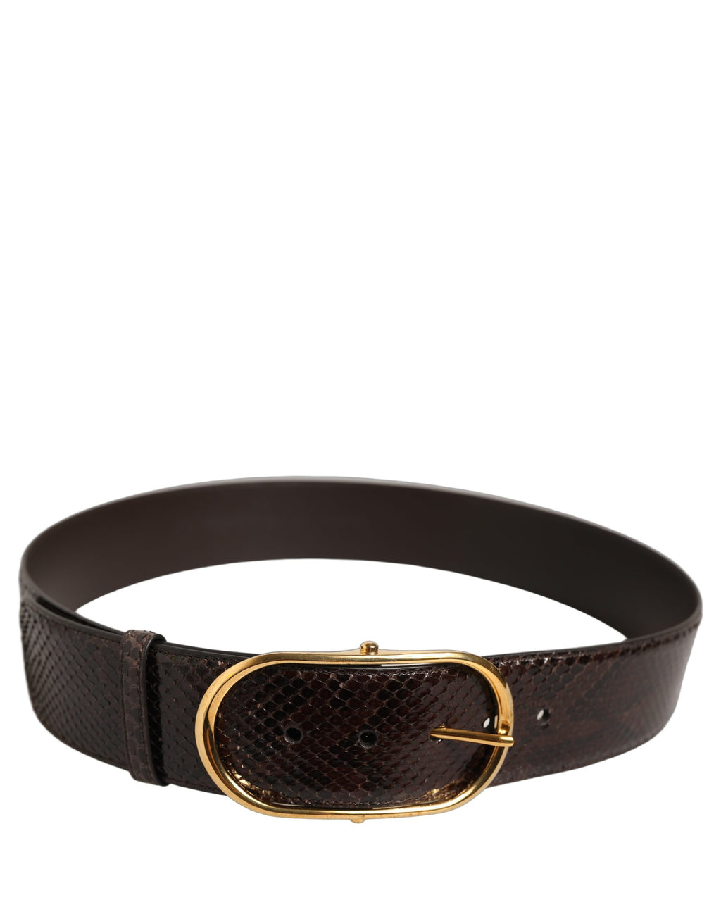 Dolce & Gabbana Brauner Pythonledergürtel mit goldener Metallschnalle
