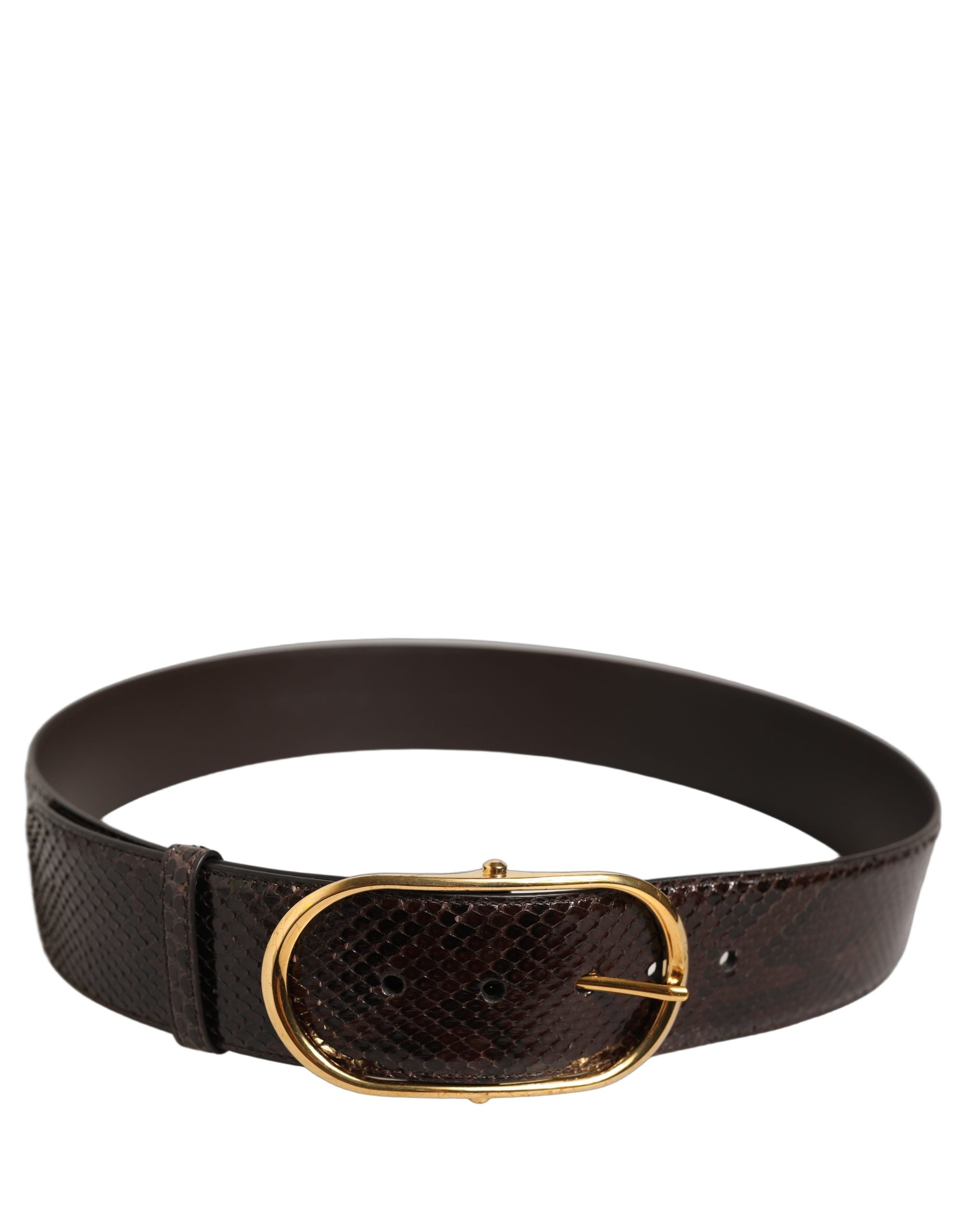 Dolce & Gabbana Brauner Pythonledergürtel mit goldener Metallschnalle
