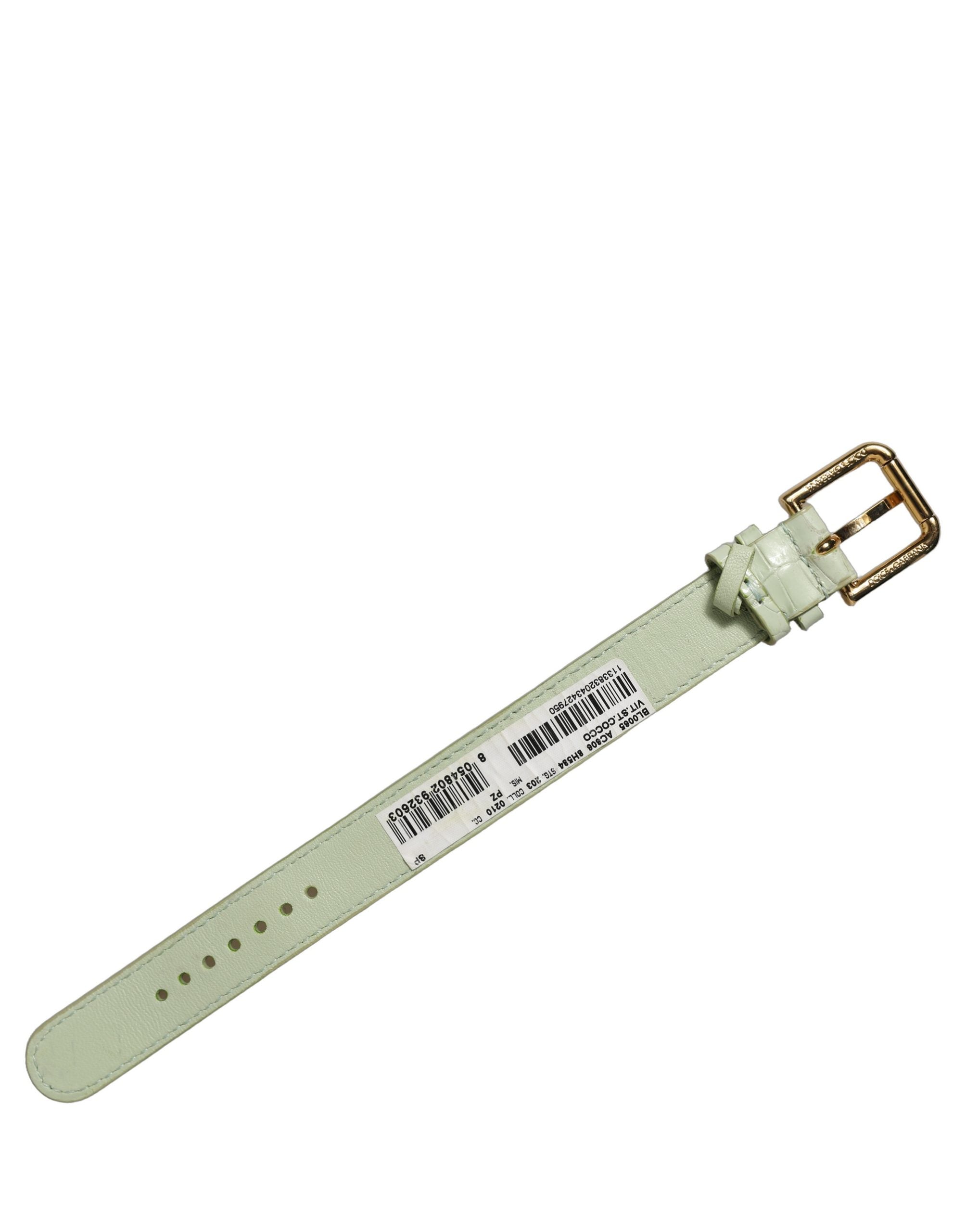 Dolce & Gabbana Armband aus grünem Leder mit Prägung und Goldschnalle