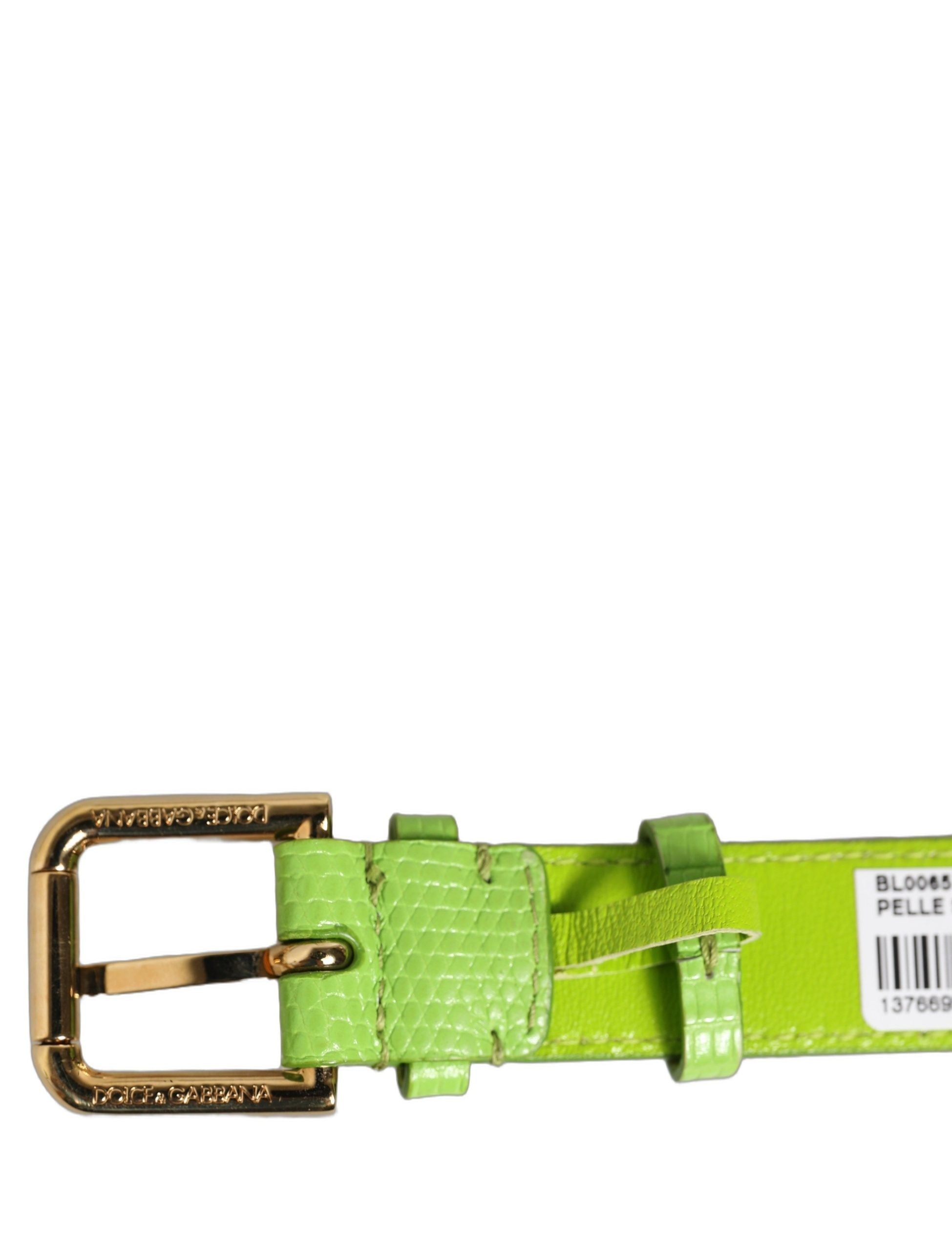 Dolce & Gabbana Grüner Lederarmband mit goldener Schnalle