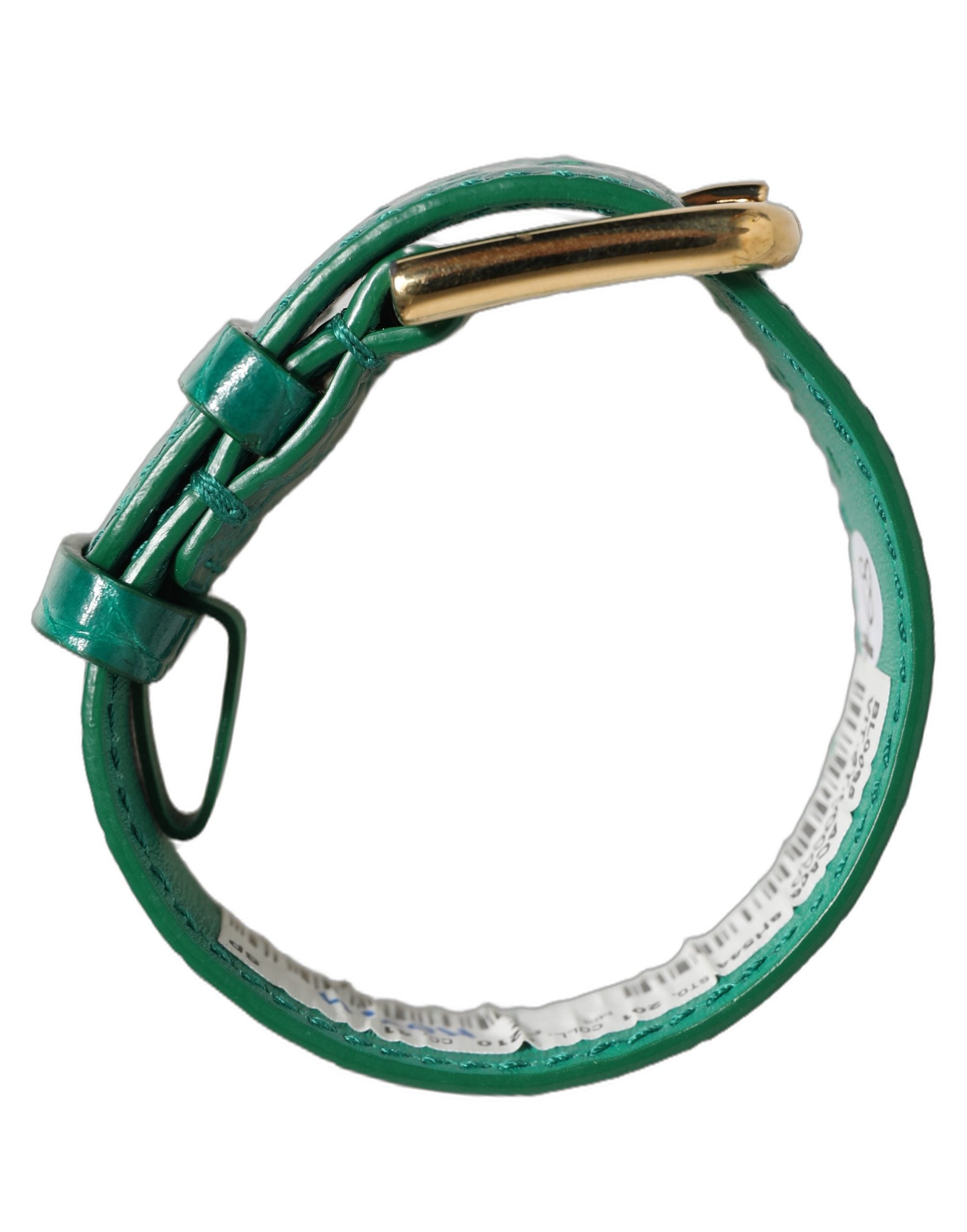 Dolce & Gabbana Armband aus grünem Leder mit Prägung und goldener Schnalle