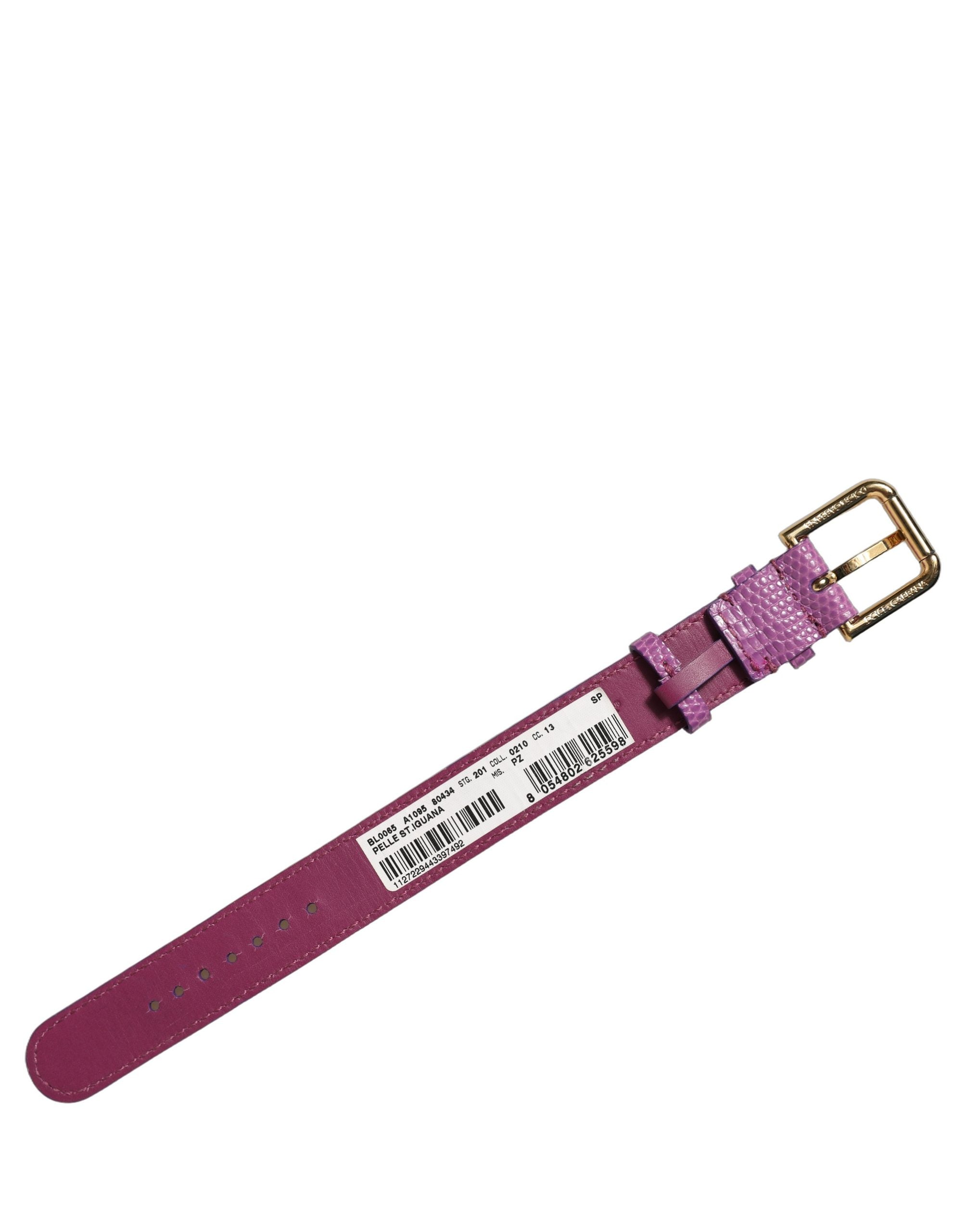 Dolce & Gabbana Lila Lederarmband mit Goldfarbener Schnalle