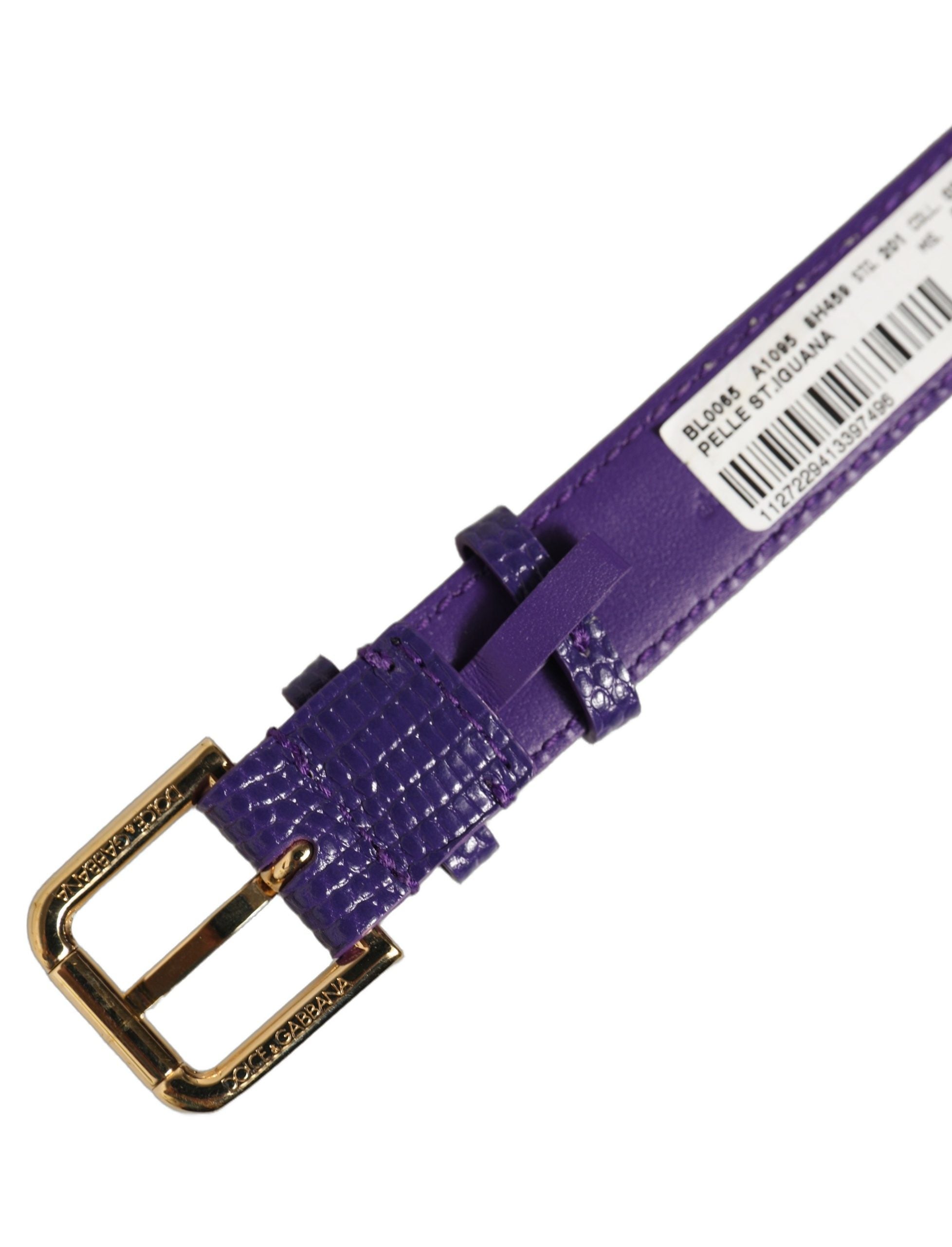 Dolce & Gabbana Violett Lederarmband mit goldener Schnalle