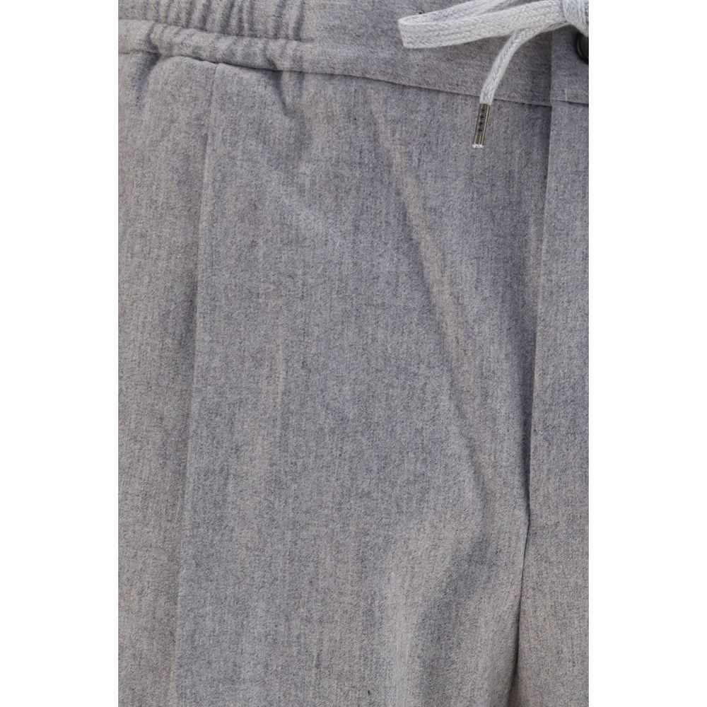 PT Torino Graue Hose aus Ovis Aries Wolle