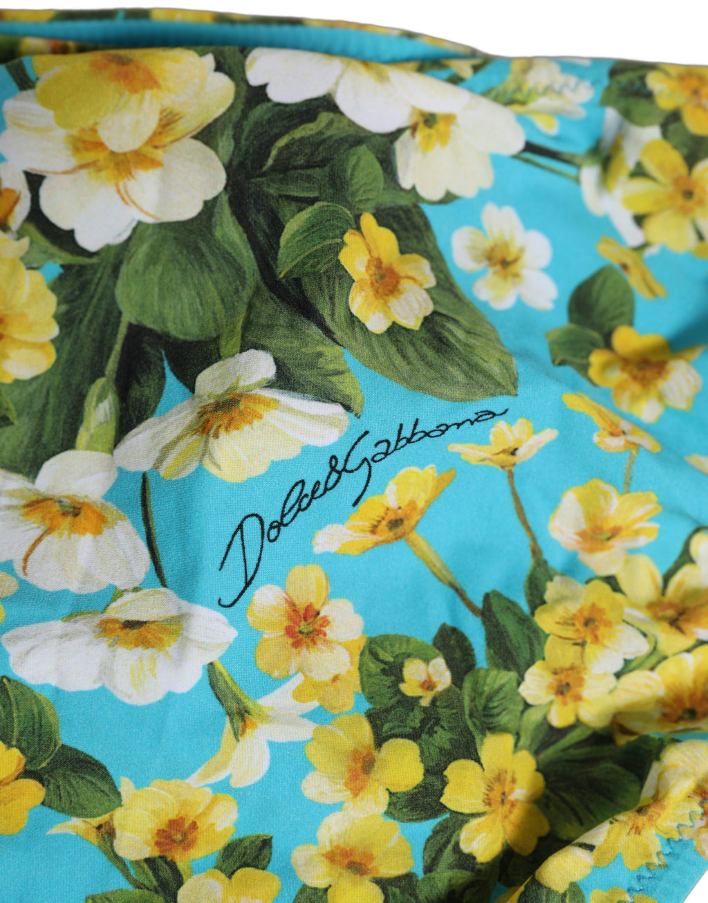 Dolce & Gabbana Bikini-Hose mit blauem Blumenprint aus Nylon