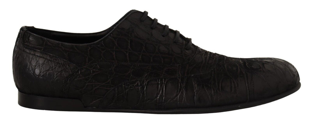 Dolce & Gabbana Men's Black Caiman Leather Oxford Shoes