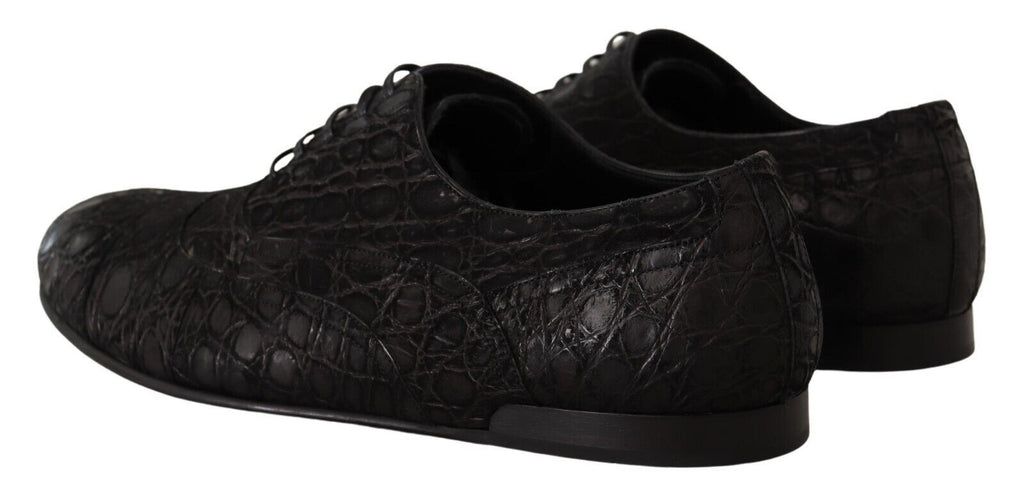 Dolce & Gabbana Men's Black Caiman Leather Oxford Shoes