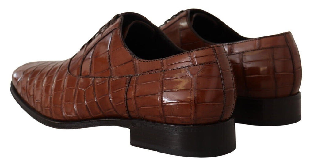 Dolce & Gabbana Braunes Krokodilleder Herren Derby Schuhe