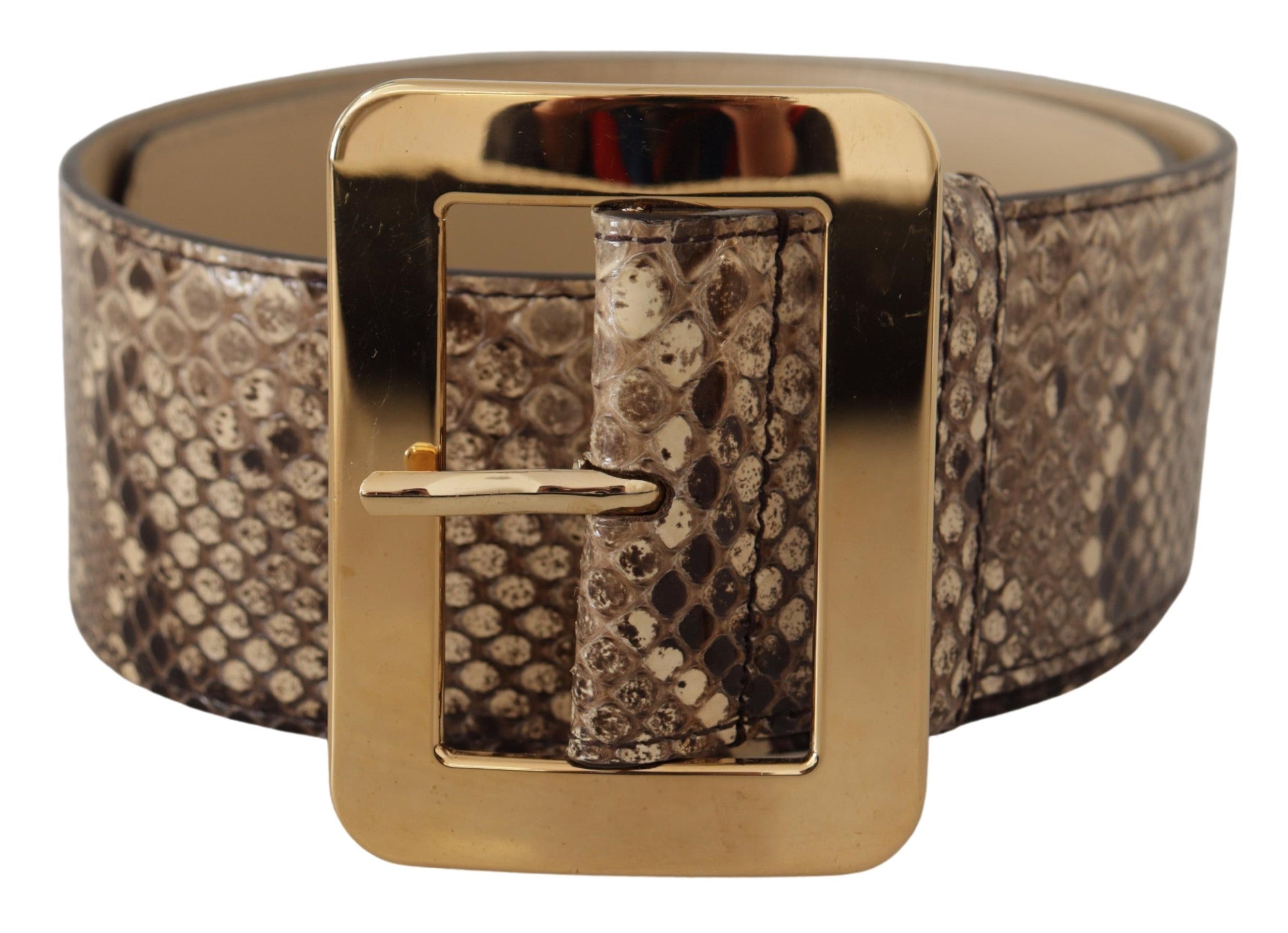 Dolce & Gabbana Brauner exotischer breiter Gürtel aus Leder mit goldener Metallschnalle