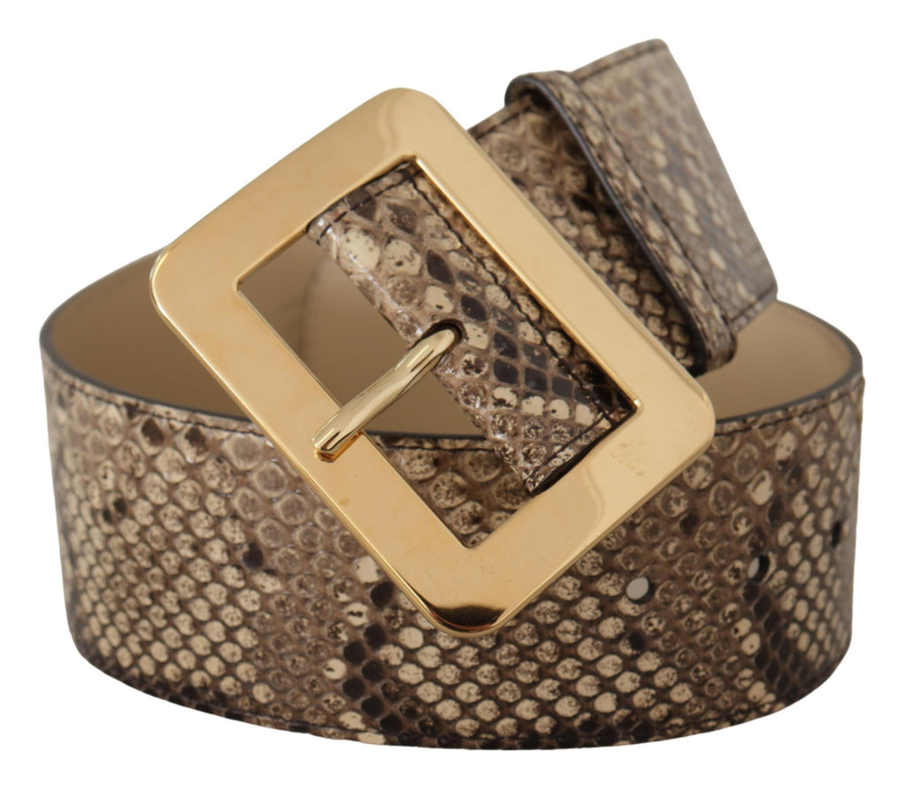 Dolce & Gabbana Brauner exotischer breiter Gürtel aus Leder mit goldener Metallschnalle