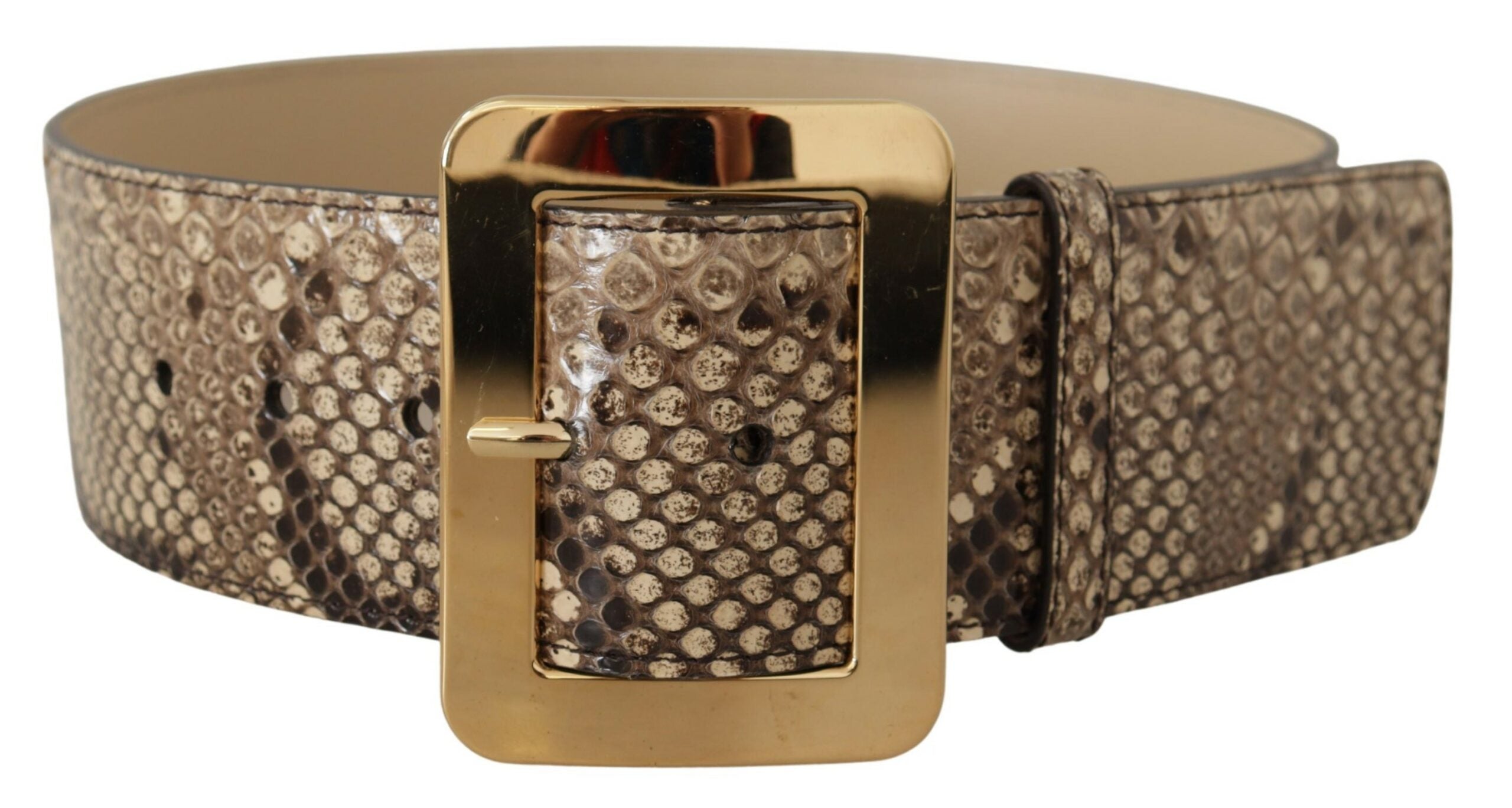 Dolce & Gabbana Brauner exotischer breiter Gürtel aus Leder mit goldener Metallschnalle