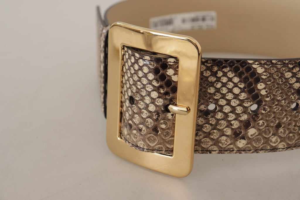 Dolce & Gabbana Brauner exotischer breiter Gürtel aus Leder mit goldener Metallschnalle