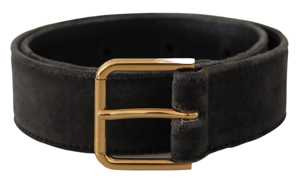 Dolce & Gabbana Brown Velvet Gold-Tone Logo Metal Belt Buckle