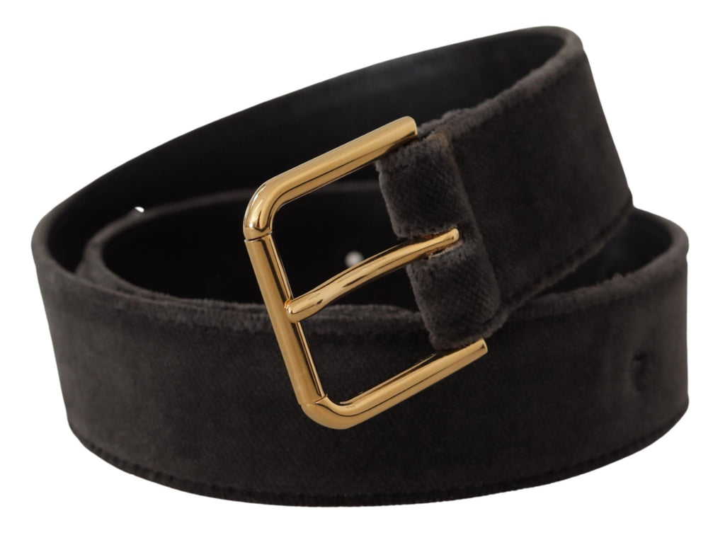 Dolce & Gabbana Brown Velvet Gold-Tone Logo Metal Belt Buckle