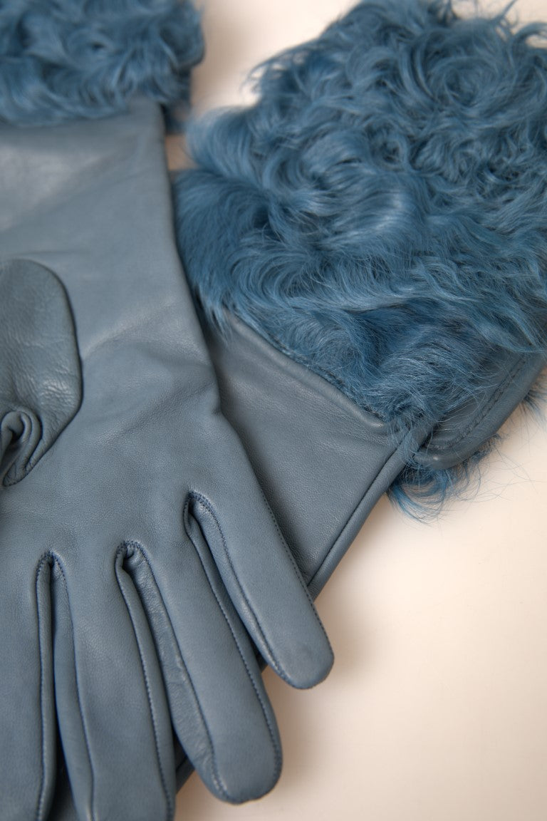 Dolce & Gabbana Blaue Lederpelz-Handschuhe mittlerer Armlänge