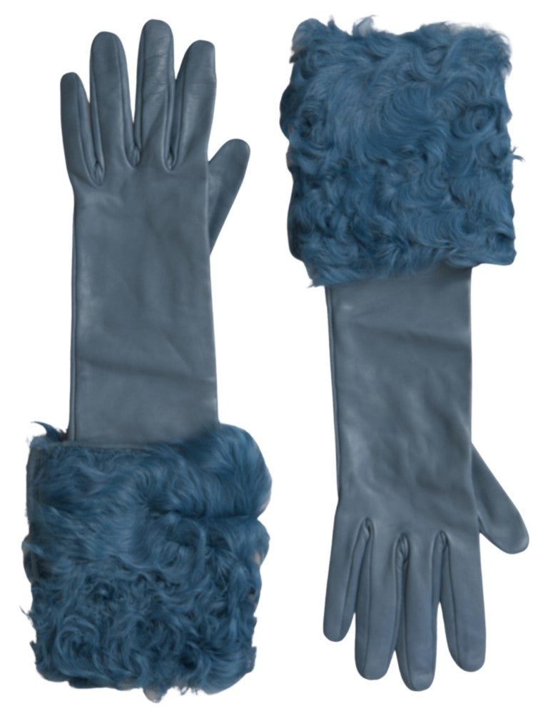 Dolce & Gabbana Blaue Lederpelz-Handschuhe mittlerer Armlänge