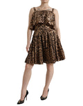 Dolce & Gabbana Brown Sleeveless Leopard Print A-Line Dress