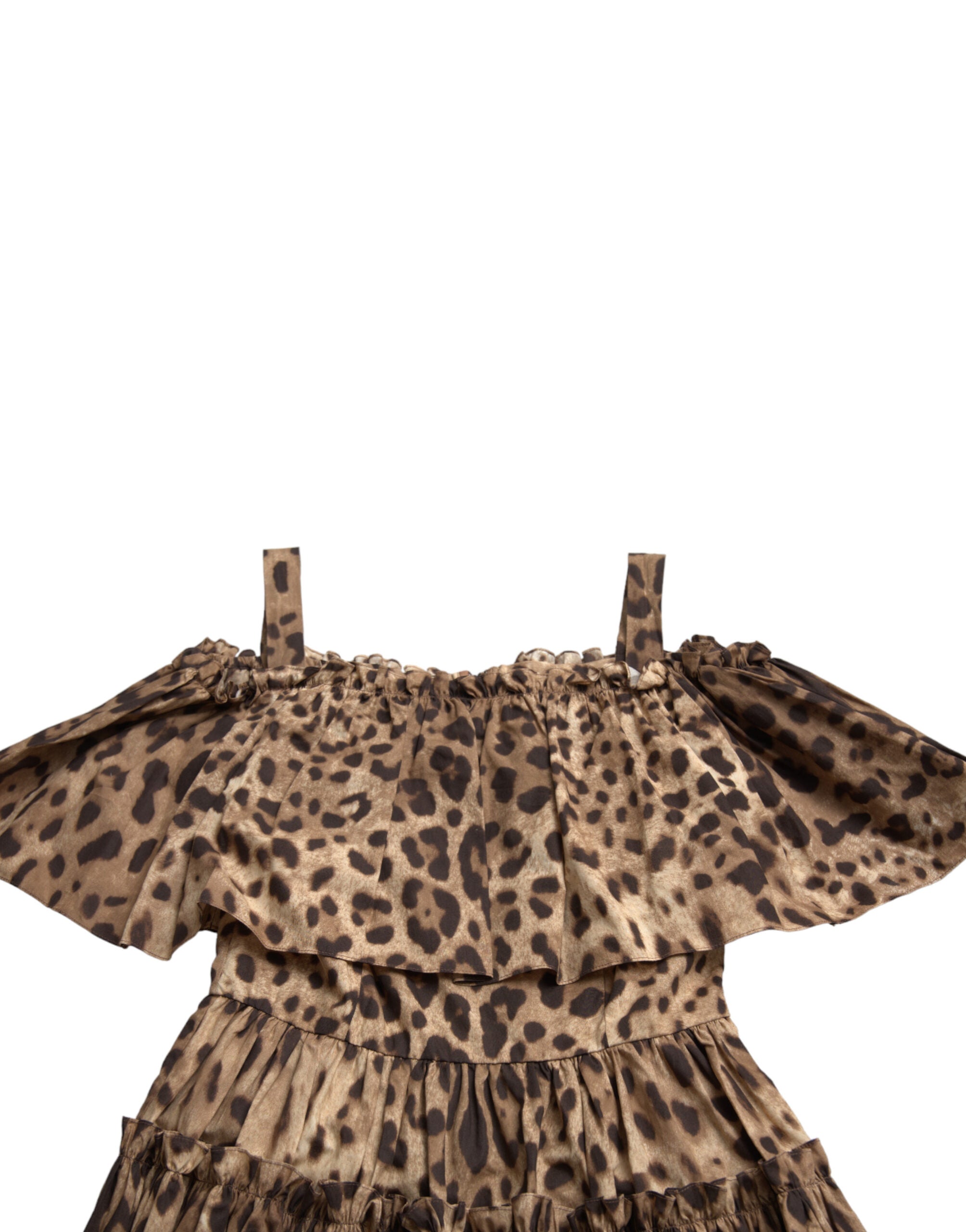 Dolce & Gabbana Brown Sleeveless Leopard Print A-Line Dress