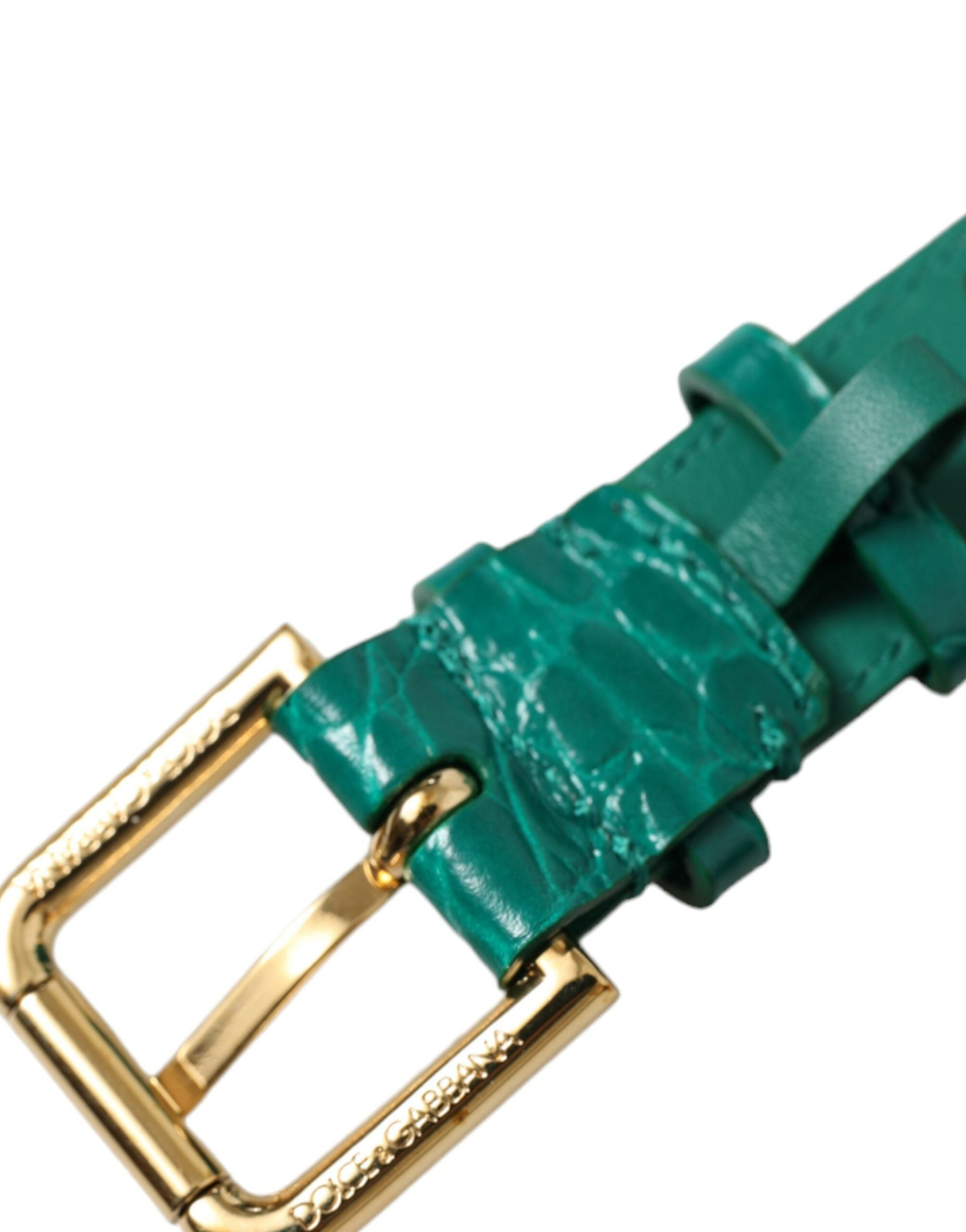 Dolce & Gabbana Grünes strukturiertes Leder mit goldfarbener Metallschnalle Halsband