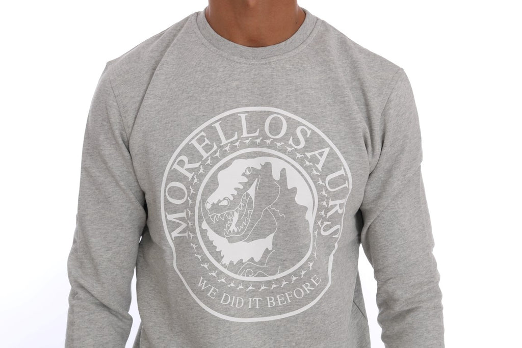Frankie Morello Grauer Pullover aus Baumwolle mit Rundhalsausschnitt