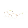 Emilio Pucci Grey Metal Eyeglasses (Frames)