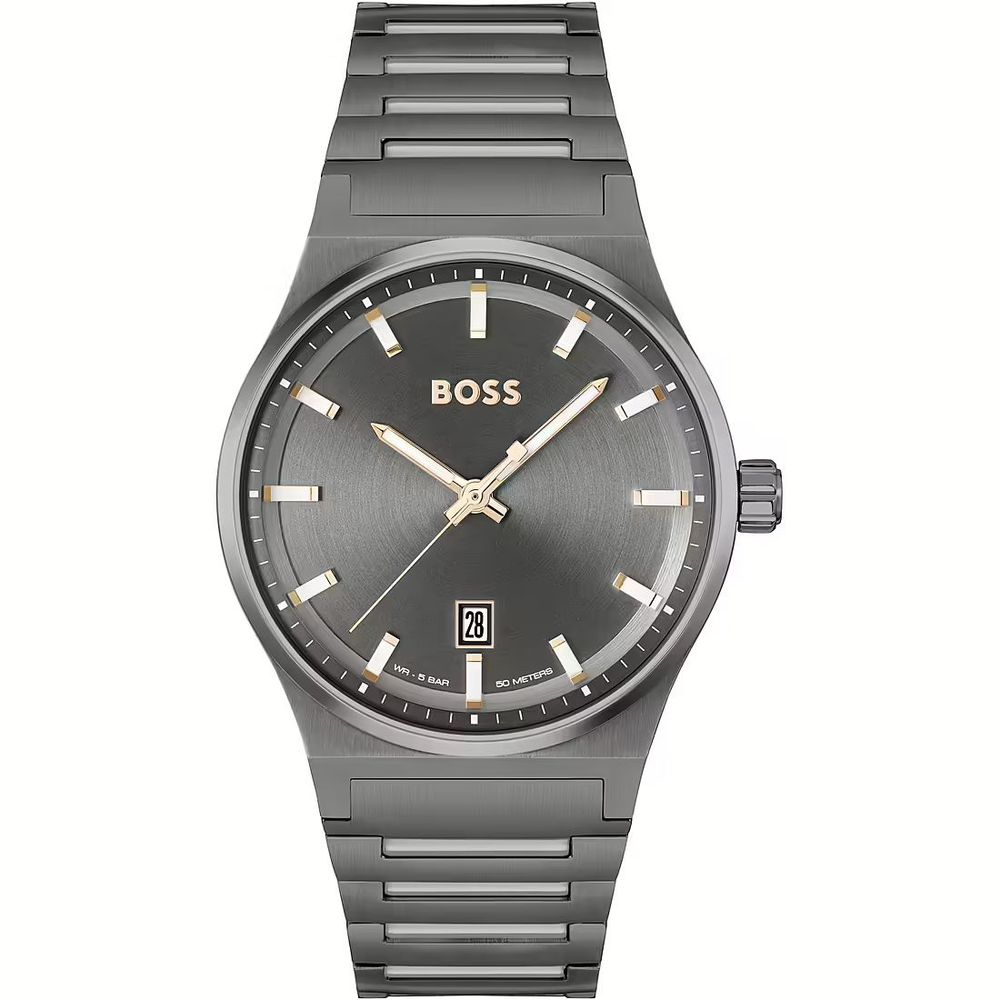 Hugo Boss Elegant Gray Stainless Steel Watch