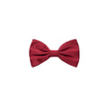 Dolce & Gabbana Rote Seidenfliege