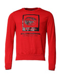Dolce & Gabbana Red Eye Print Round Neck Men's Pulweater