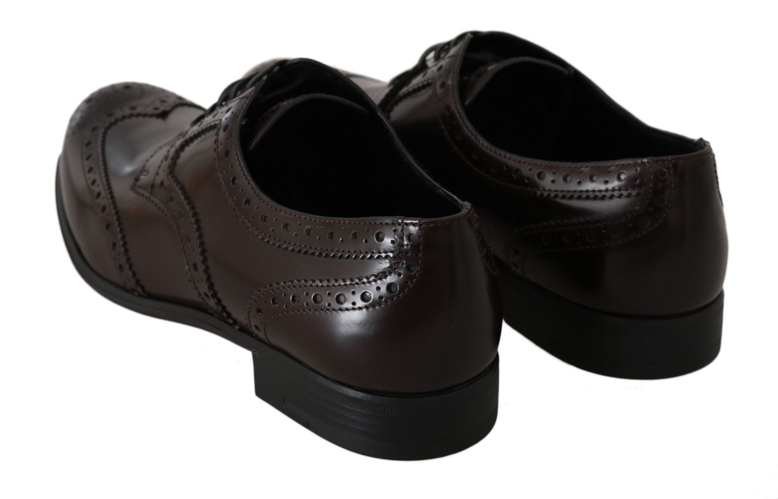 Dolce & Gabbana Brown Leather Brogue Oxford Wingtip Shoes