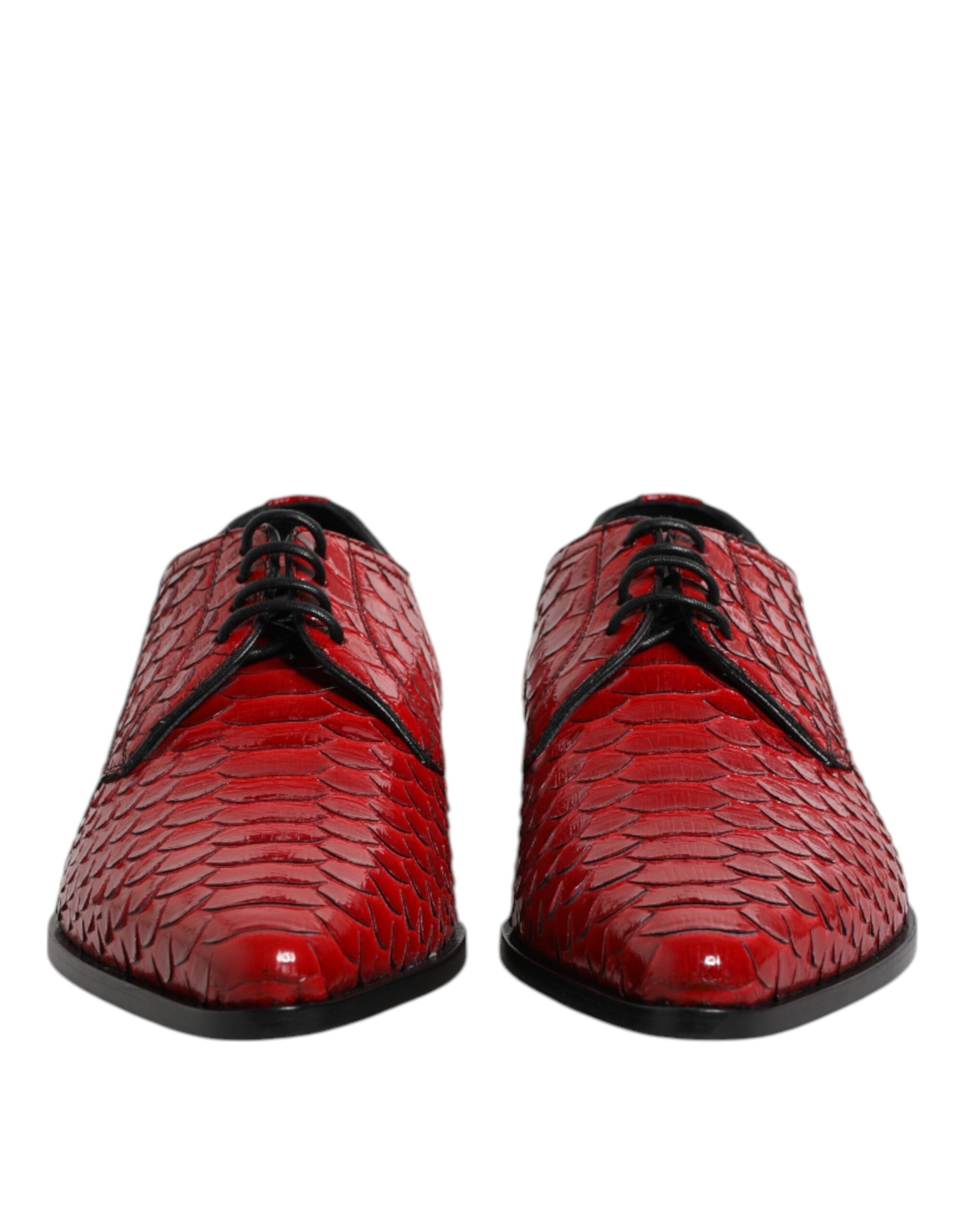 Dolce & Gabbana Red Exotic Leather Lace-Up Dress Derby Shoes