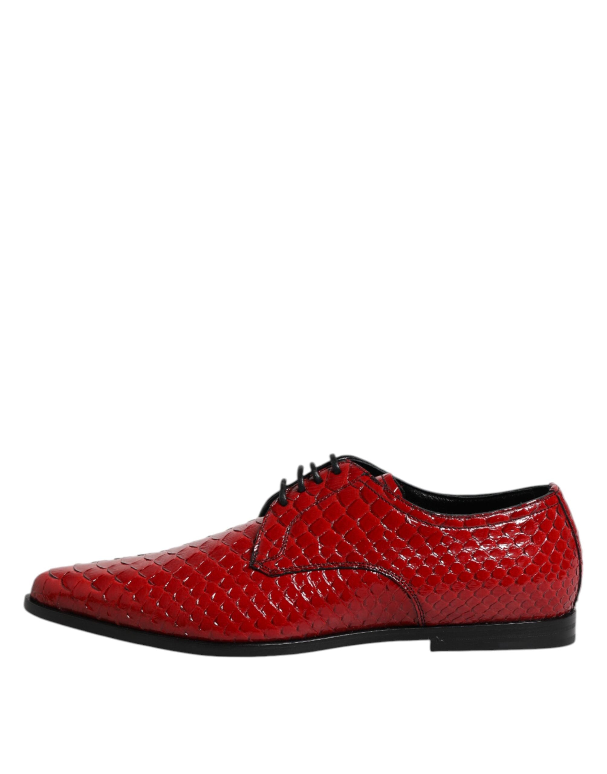 Dolce & Gabbana Red Exotic Leather Lace-Up Dress Derby Shoes