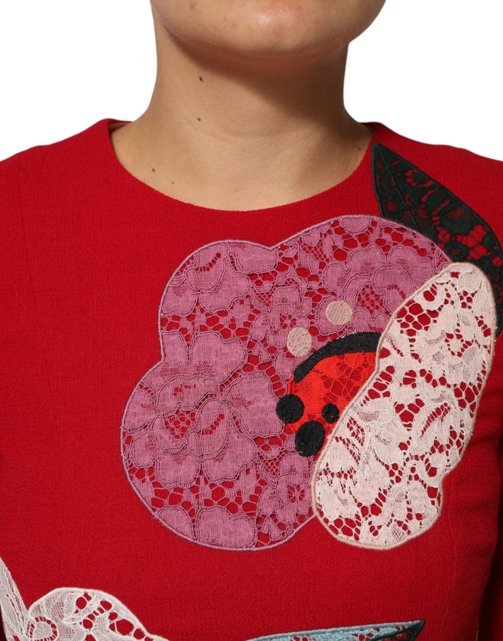Dolce & Gabbana Red Lace Floral Appliqué A-line Mini Dress