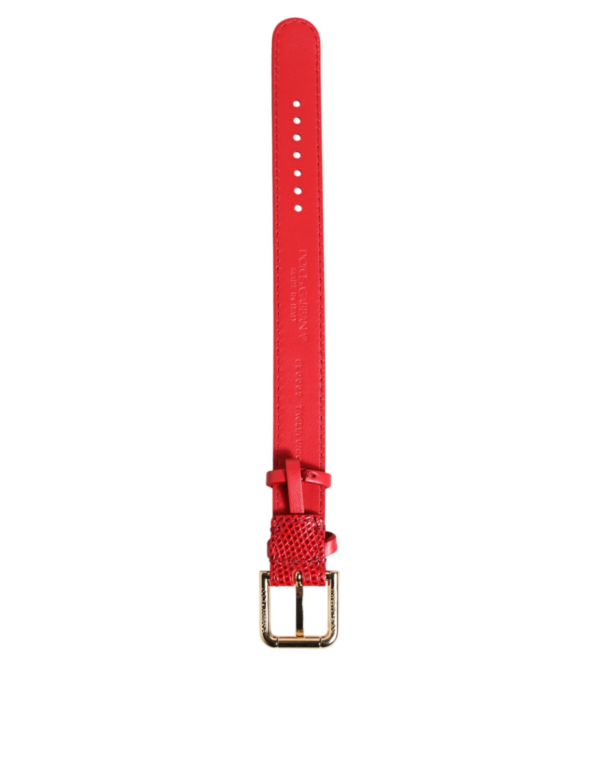 Dolce & Gabbana Rotes exotisches Leder Goldton Metallschnalle Frauen Armband