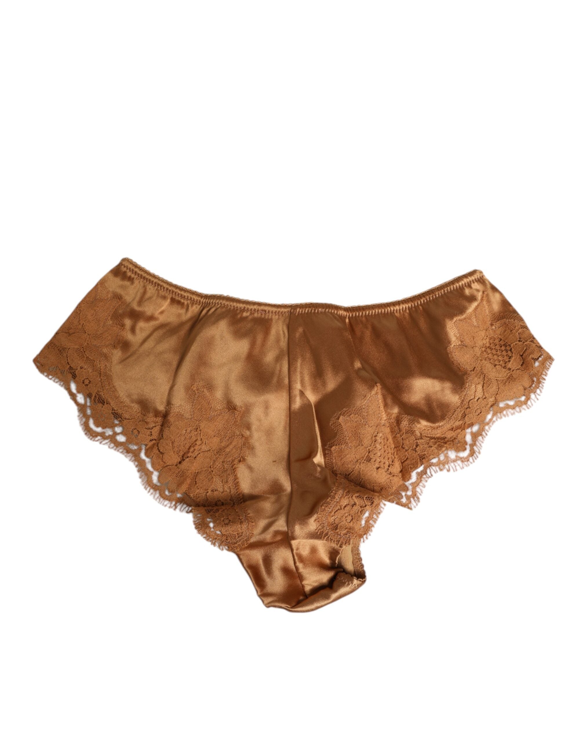 Dolce & Gabbana Brown Lace Silk Satin Slip Underwear