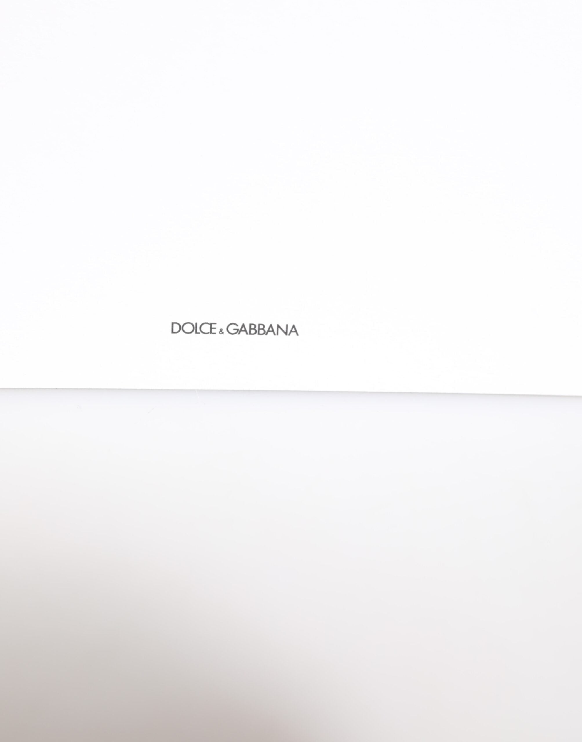 Dolce & Gabbana Multicolor Leopard Print Umschlag Papier Postkarte Halter