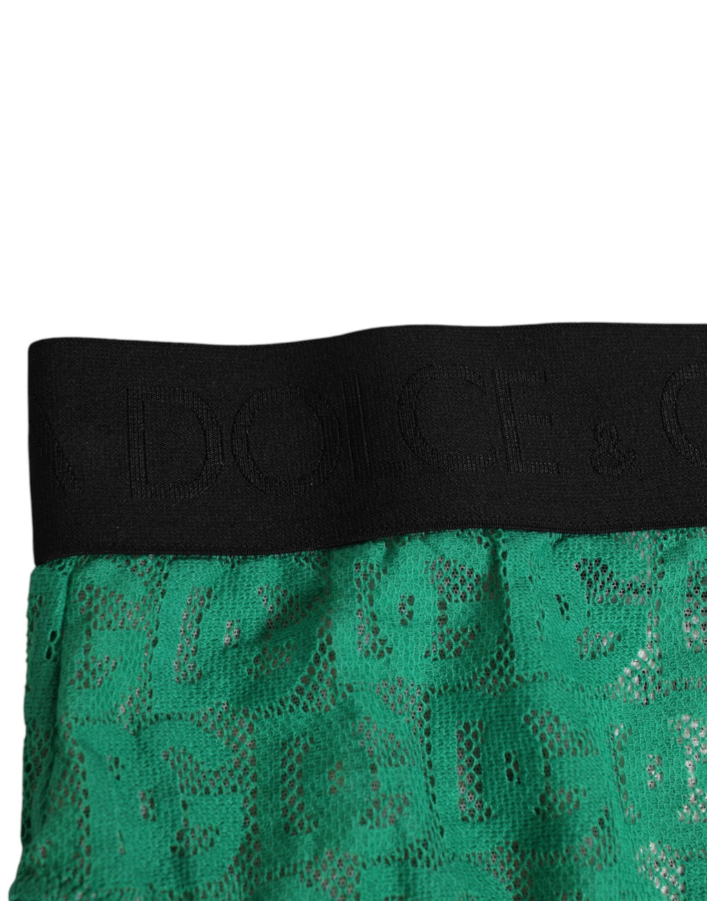 Dolce & Gabbana Green DG Logo Lace High Brief Underwear