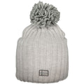 Norway 1963 Gray Polyester Beanie