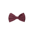 Dolce & Gabbana Seidenfliege in Bordeaux