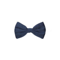 Dolce & Gabbana Blue Silk Bow Tie