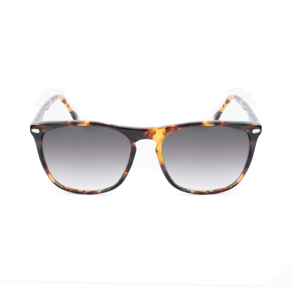 Brown acetate Belstaff sunglasses
