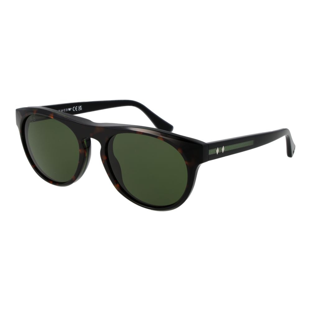 Web brown acetate sunglasses