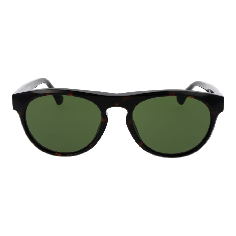 Web brown acetate sunglasses
